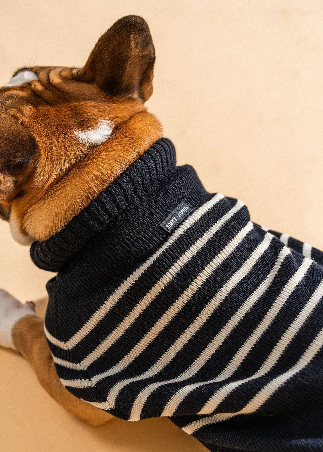 Saint James Toutoupull pull chien laine navy écume